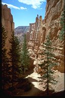 Bryce-Canyon NP : Auf dem Navajo Loop Trail