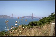 Blick auf die Golden Gate Bridge
