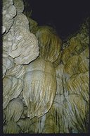 Die Oregon Caves