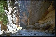Zion NP : Narrow Canyon