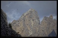 Wachsame Gemse vor der Kulisse der Großen Cier-Spitze (2592m)
