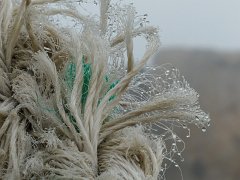 Previous image