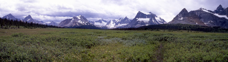 Elch- und Caribou-Wiesen am Amethyst Lake und im Hintergrund das Eremite Valley, Tonquin Valley Trail, Jasper National Park, Canada, 2005