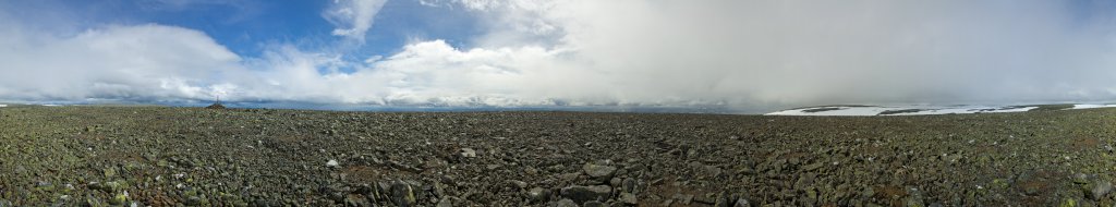 Beeindruckende Reizarmut beim 360-Grad-Panorama am Gipfel des Prestholtskarvet (1859m), Hallingskarvet, Geilo, Norwegen, Juli 2012.