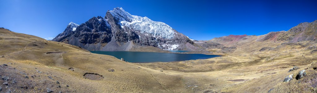 Alpaka-Herden begleiten uns auf dem Weg zum Alcatani-Pass (4865m) entlang der Laguna Jatun Pucacocha und einem weiteren vom Nevado Extremo Ausangate gespeisten Gletscher-See unter der Südseite des Ausangate (6384m), Cordillera Vilcanota, Peru, Juli 2014.