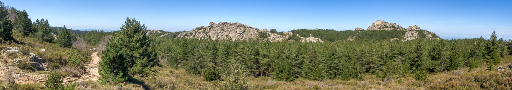 Die Hänge des Monte Limbara (1359m) bei Tempio sind durchsetzt mit großen Granitfelsen, Sardinien, April 2014.