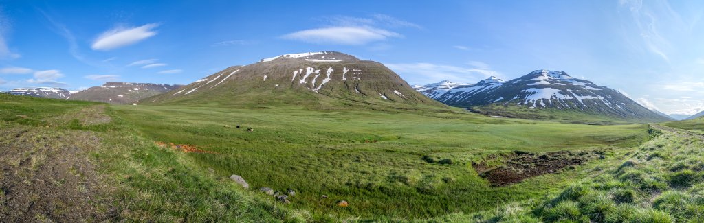 Die Passhöhe der Strasse durch das Öxnadalur führt über die Hochebene Öxnadalsheiði, die zwischen dem Skagafjörður im Westen und dem Eyjafjörður im Osten liegt. An der Passhöhe bietet sich der Blick auf die über 1000m hohen Berge der Umgebung wie den Kaldbakshnjukur (1063m), den Kinnafjall (1106m) und den Borgargerðisfjall (1110m) mit seinen verschneiten Nebengipfeln, Island, Juli 2015.