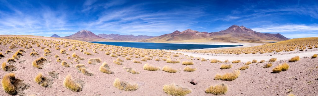 An der Laguna Miscanti (4140m), einem Salzsee in den Anden östlich des Salar de Atacama, Chile, November 2016.
