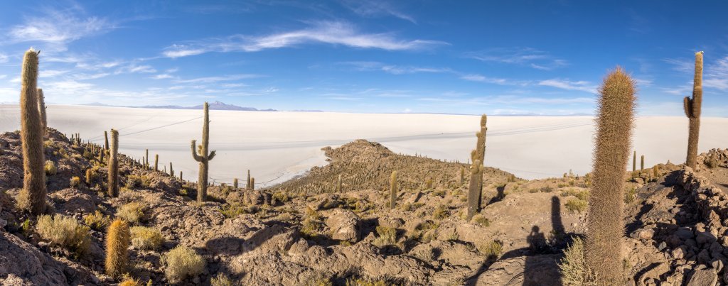Panorama über den Salar Uyuni und mit Blick auf den Vulkan Tunupa (5432m) vom Gipfel der Isla Incahuasi, einer Insel im Salzsee Salar de Uyuni auf der sich viele Hunderte von riesigen Säulenkakteen erhalten haben. Diese sind bis zu 1200 Jahre alt und zum Teil über 12m hoch, Bolivien, November 2016.