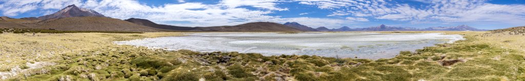 Panorama am Nordufer des Salar de Surire, an dessen offenen Wasserflächen viele Flamingos, Nandus (Surire) und Vicunas leben, Chile, November 2016.