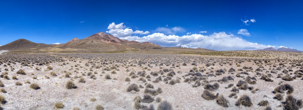 Am Fusse des Cerro Guane-Guane (5097m), hinter dem der vergletscherte Vulkan Parinacota (6348m) hervorlugt, Chile, November 2016.