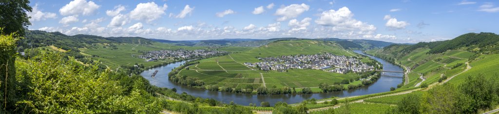 Mitten in den Weinbergen an der Moselschleife bei der Ortschaft Leiwen und mit Blick auf das im Moselbogen gelegene Trittenheim, Mosel, Deutschland, Juni 2020.