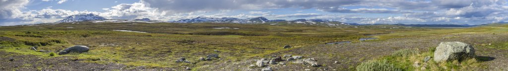 Alpine Tundra-Landschaft am Stekenjokk (876m), dem höchsten Punkt des Vildmarksvägen von Strömsund nach Vilhelmina, Schweden, Juli 2022.