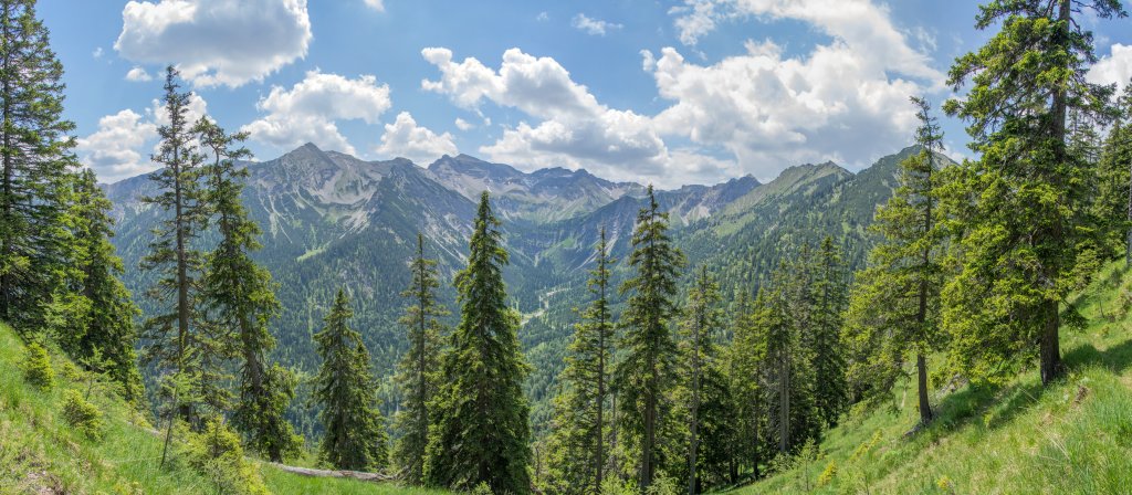 Blick vom Untergrasberg auf das Rund des Soierngebirges mit Krapfenkarspitze, Soiernspitze, Reißende Lahnspitz, Felderkopf, Schöttelkarspitze, Schöttelkopf und Ochsenstaffel; in der Mitte trohnt das Soiernhaus, Soierngebirge, Juni 2014.