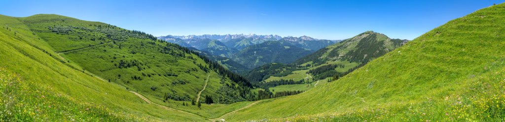 Im Aufstieg auf den Juifen (1988m) eröffnet sich nach Süden das weite Panorama über die Karwendelketten, Karwendelgebirge, Juli 2016.