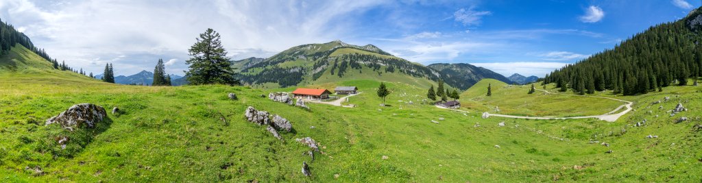 Idyllisch gelegene Almwiesen des Hochlegers der Grabenbergalm vor dem Hinteren Sonnwendjoch (1986m) und dem Schönfeldjoch (1716m), Mangfallgebirge, Bayrische Alpen, August 2016.