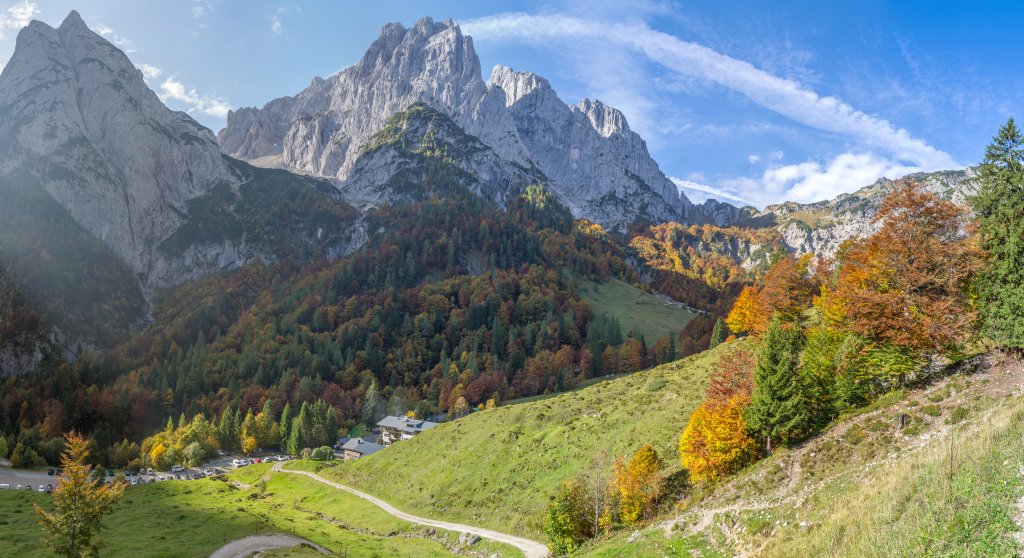 Herbstlicher Bergwald an der Griesner Alm (1024m) im Kaisertal zwischen Wildem und Zahmem Kaiser, Kaisergebirge, September 2017