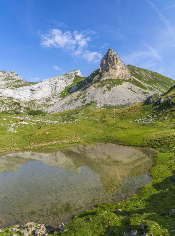 Vertikalpanorama - Frühmorgens spiegeln sich die Seekarlspitze (2261m) und der Roßkopf (2257m) in einem kleinen See im Rofan, Rofan-Gebirge, Österreich, August 2019.