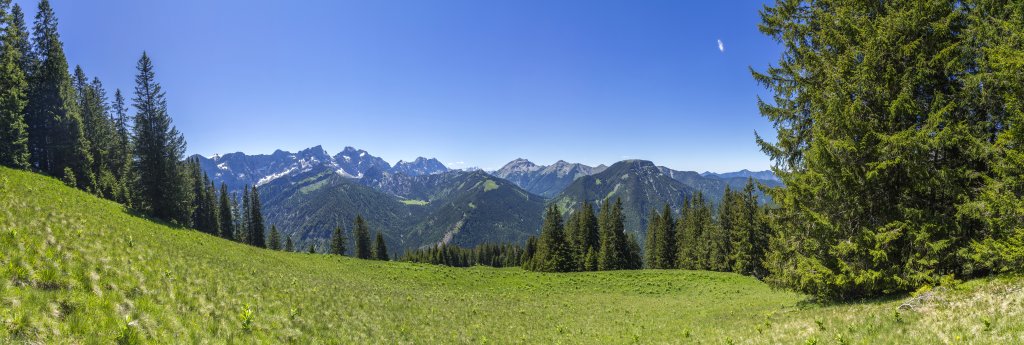 Im westlichen Abstieg vom Schönalmjoch (1986m) eröffnet sich auf einer steilen Wiese nochmal der weite Blick auf die Torwände, die Östliche Karwendelspitze (2537m), die Vogelkarspitze(2522m), die Raffelspitze (2323m), die Hochkarspitze (2482m) und den Wörner (2476m) sowie die Rohntalalm, den Hochalplkopf (1770m), die Soiernspitze (2253m) und den Vorderskopf (1858m), Karwendel, Österreich, Juni 2020.