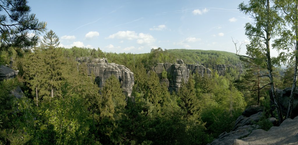 Blick vom Abstieg über den Lehnsteigauf die sogenannten 5 Gipfel; im Hintergrund der Große Winterberg, Mai 2009