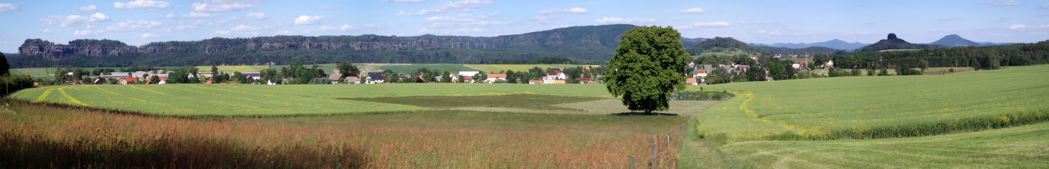 Blick auf die Schrammsteinkette vom Ortseingang von Reinhardtsdorf