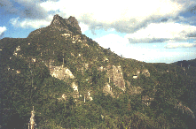 Neuseeland, Coromandel Peninsula