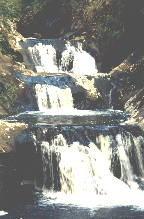 Neuseeland, Watergardens auf Coromandel