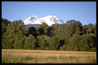 Mt. Rainier bei Annaeherung an den NP