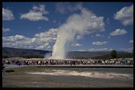 Old Faithful