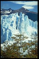 Die Abbruchkante des Gletschers ist bis zu 50-60m hoch