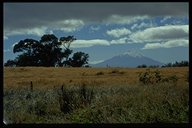 Auf der Fahrt zum Vulkan Osorno