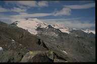 Wilder Freiger von der N&uuml;rnberger Scharte aus