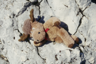 Geschaffter Berg-Elch